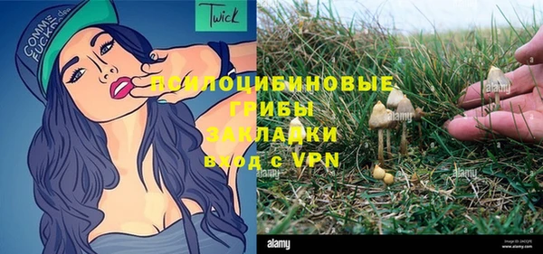 a pvp Алзамай
